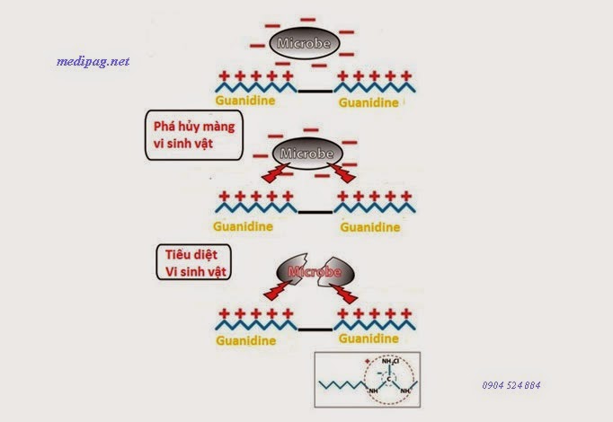 cơ chế diệt khuẩn của medipag-20
