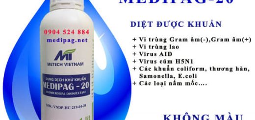 Dung dịch khử khuẩn Medipag-20